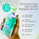 Eva NYC Lazy Jane Air Dry Shampoo, Air Dry Hair Products for Natural Texture and Frizz Control, Vegan and GMO-Free Shampoo, Anti Frizz Hair Products for Women, 8.8 fl oz